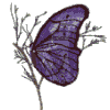 Blue Butterfly, Side View