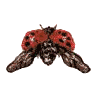 Ladybug in Flight 1 Small