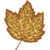 Maple Leaf Appliqué 