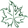 Maple Leaf, Single color: larger