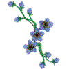 Forget-Me-Nots Spray