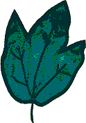 Leaf 1, Appliqué (a)