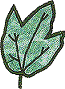 Leaf 1, Appliqué (c)