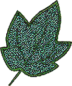Leaf 2, Appliqué (a)