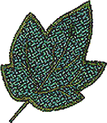 Leaf 2, Appliqué (c)
