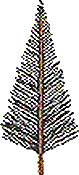 Tree 2 (a)