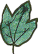 Leaf 1, Appliqué (b)
