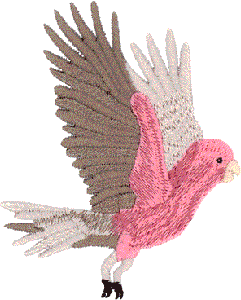 Galah