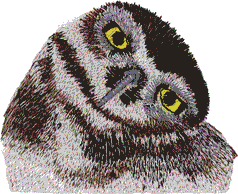 Pocket Topper Owl
