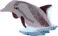 Pocket Topper Dolphin