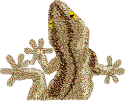 Pocket Topper Gecko