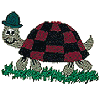 Terry Turtle