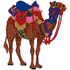 Camel 1