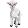 Lamb, front