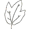 Leaf 1, Outline