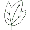 Leaf 1, Outline (b)