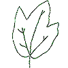 Leaf 1, Outline (c)