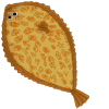Yellowtail Flounder