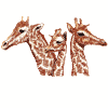 Pocket Topper Giraffes