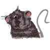 Pocket Topper Mouse