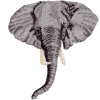 Elephant small