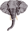 Elephant large