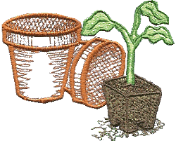 Planting plants