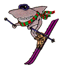 Slope Shark
