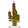 Christmas Cactus (smaller)