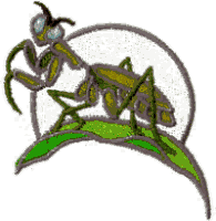 Stained Glass Insect: Praying Mantis