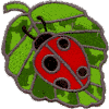 Stained Glass Insect: Ladybug