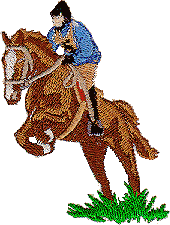 Equestrian Rider