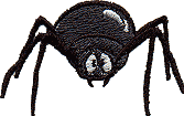 Big-Eyed Spider
