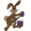Painting Bunny