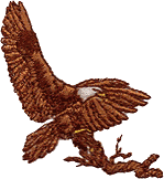 Eagle on Branch, AN3