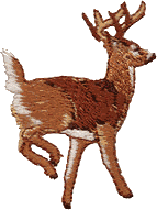 Deer, An4
