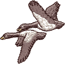 Two Flying Geese, An4