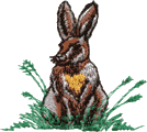Rabbit, An5