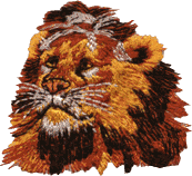 Lion Head AS5N03