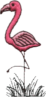 Flamingo in reeds
