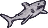 Ferocious Shark