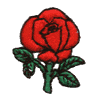 Buttonhole Rose