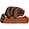Raccoon on a log
