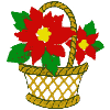 Poinsettia Basket