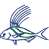 Baja Fish
