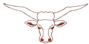 Bull Head Outline