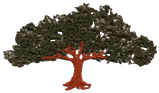 Wide Shade Tree