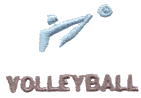 Volleyball Symbol
