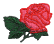 Short-stem Rose