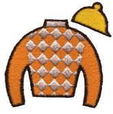 Jockey Outfit- Checkered